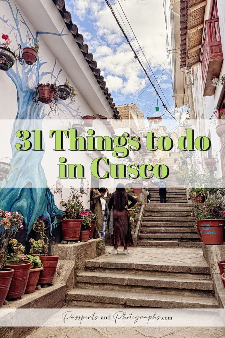 31 Things to do in Cusco - Stairs on one of Cusco's alleys with a blue tree mural on the wall and red pots containing plants and flowers