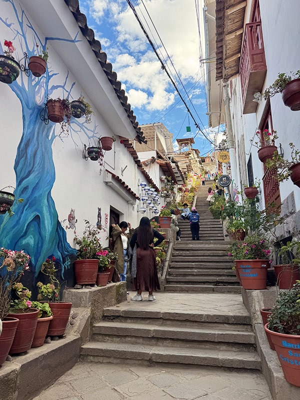 The Siete Borreguitos street in Cusco - stairs lined with red pots with plants and a blue tree painted on a white building