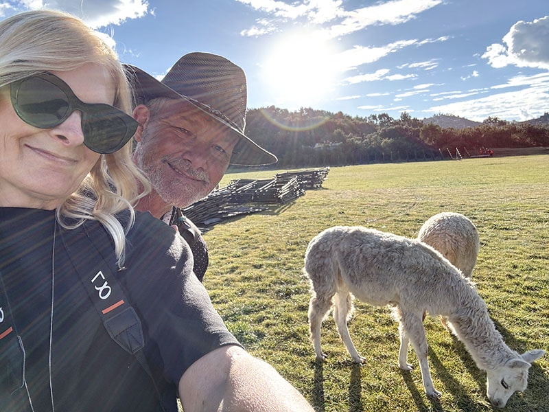 Selfie with a llama at Saqsaywaman Ruins in Cusco Peru