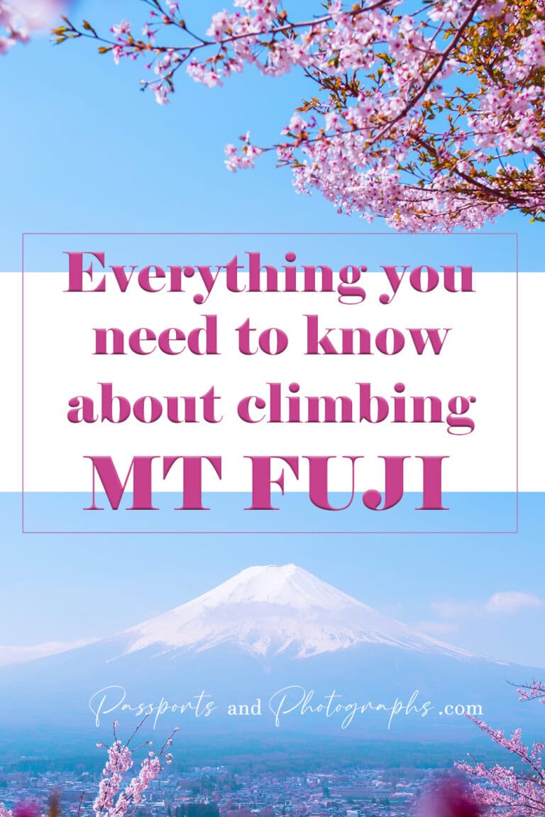 Climbing Mt Fuji in Japan - everything you need to know - photo of Mt Fuji and cherry blossom trees in the foreground