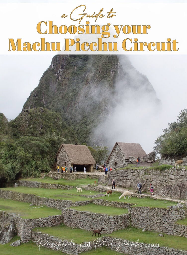 Fog rolls around Wayna Picchu Mountain at Machu Picchu with housing structures and llamas
